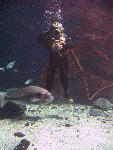 IMG_3105 IMG_3105