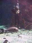 IMG_3106 IMG_3106