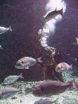 IMG_3108 IMG_3108