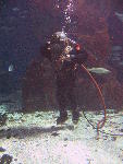 IMG_3110 IMG_3110