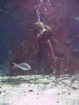 IMG_3111 IMG_3111