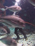 IMG_3113 IMG_3113
