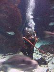 IMG_3114 IMG_3114