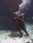 IMG_3115 IMG_3115