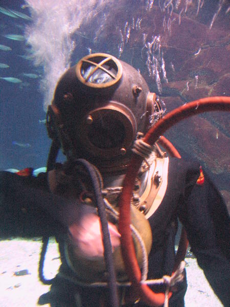 IMG_3116
