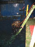 IMG_3121 IMG_3121