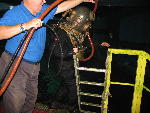IMG_3146 IMG_3146