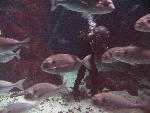 IMG_3150 IMG_3150