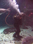IMG_3151 IMG_3151