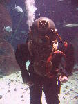 IMG_3152 IMG_3152
