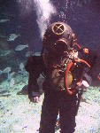 IMG_3154 IMG_3154