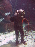 IMG_3155 IMG_3155