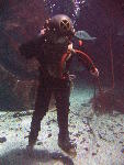 IMG_3156 IMG_3156