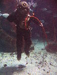 IMG_3157 IMG_3157