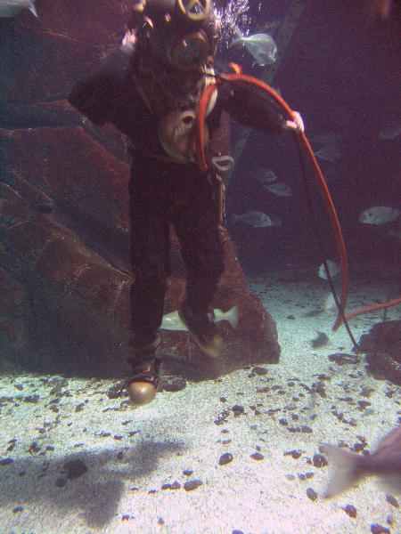 IMG_3158