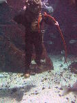 IMG_3158 IMG_3158