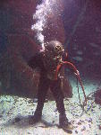 IMG_3159 IMG_3159