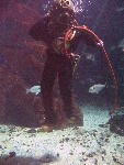 IMG_3161 IMG_3161