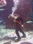 IMG_3162 IMG_3162