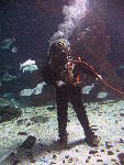 IMG_3164 IMG_3164