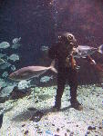 IMG_3165 IMG_3165