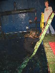 IMG_3205 IMG_3205