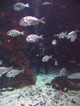 IMG_3206 IMG_3206