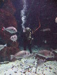 IMG_3207 IMG_3207