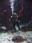 IMG_3208 IMG_3208