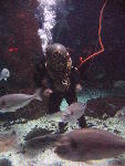 IMG_3209 IMG_3209
