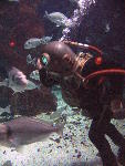 IMG_3212 IMG_3212