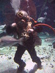 IMG_3213 IMG_3213