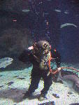 IMG_3215 IMG_3215