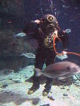 IMG_3217 IMG_3217