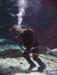 IMG_3219 IMG_3219