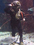 IMG_3222 IMG_3222
