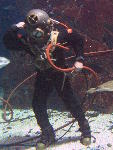 IMG_3223 IMG_3223