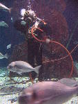 IMG_3225 IMG_3225