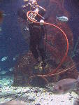 IMG_3226 IMG_3226