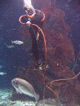 IMG_3227 IMG_3227
