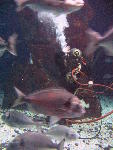 IMG_3228 IMG_3228