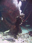 IMG_3229 IMG_3229