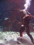 IMG_3274 IMG_3274