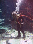 IMG_3277 IMG_3277