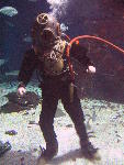 IMG_3278 IMG_3278