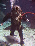IMG_3281 IMG_3281