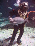 IMG_3282 IMG_3282