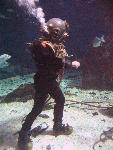 IMG_3284 IMG_3284