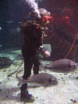 IMG_3285 IMG_3285