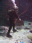 IMG_3286 IMG_3286